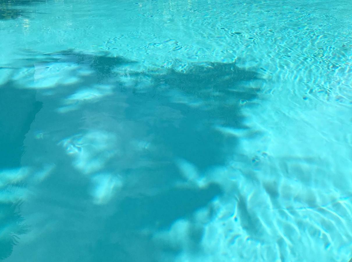 ואנה La Palmeraie מראה חיצוני תמונה